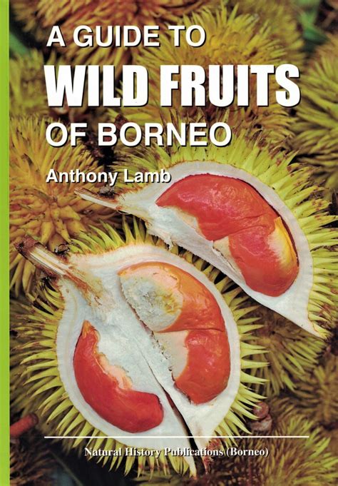 Wild Fruits Review 2024